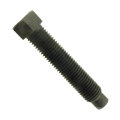 DIN 561 Hex Set Screw with full dog point